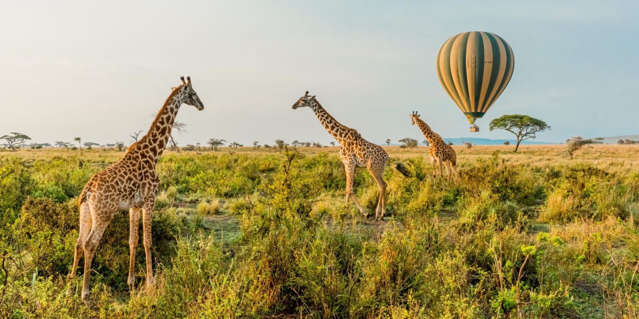 3 nights Serengeti and Ngorongoro
