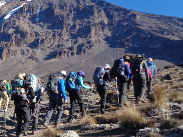 Climb Kilimanjaro